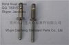 Dia. 3/16 - 1/4 stainless steel blind rivet for automotive and roof construction industry