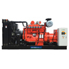 ETTES Cummins Series Natural Gas Generator  CHP