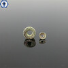 Hex Flange Nut/ Hex Flange Nut DIN6923