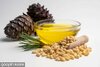 Popular and cheap yellow liquid Pine Oil with the Spot Supply