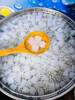 Best Selling Natural Flavor RAW COCONUT JELLY PUDDING NATA DE COCO FROM VIETNAM WITH BEST PRICE AND