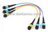 8cores 12cores 24cores OS2 OM3 OM4 OM5 10G 40G 100G MTP MPO Fiber Patch Cord/MTP MPO Trunk Cable