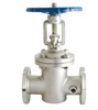Thermal Insulation Gate Valve