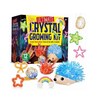 Ultimate Crystal Growing Kit 11010020