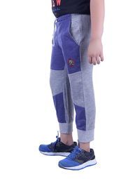 P37-GREY-2