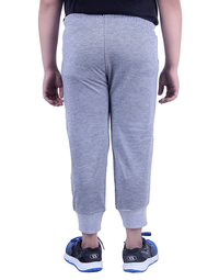 P37-GREY-4