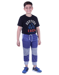 P37-GREY-1