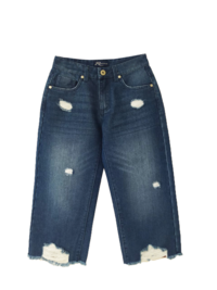 Ladies Denim Pant