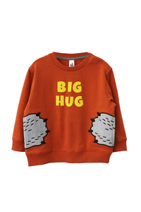 Boy's sweatshirt