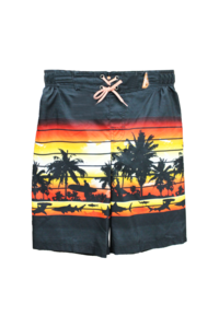 Men's swimwear product